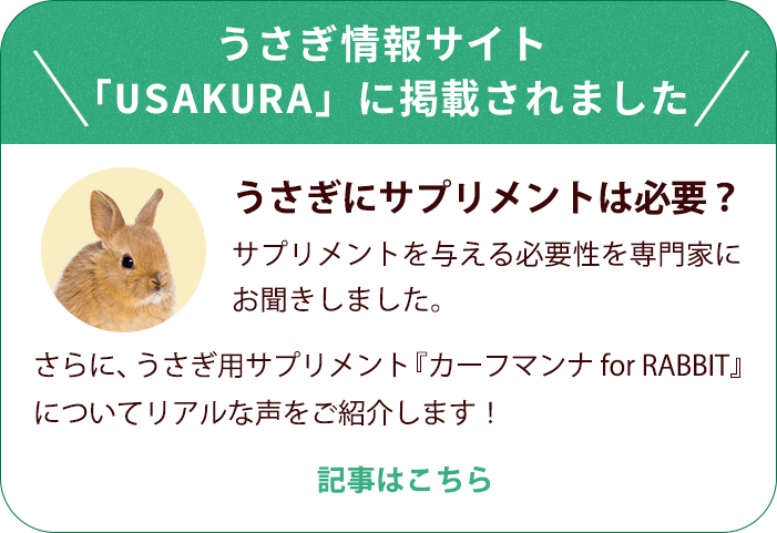 うさぎ様 ご確認用 （うさぎ様ご確認用です(^-^) （ごちうさ 1月1日 うさぎ様 ご確認用
