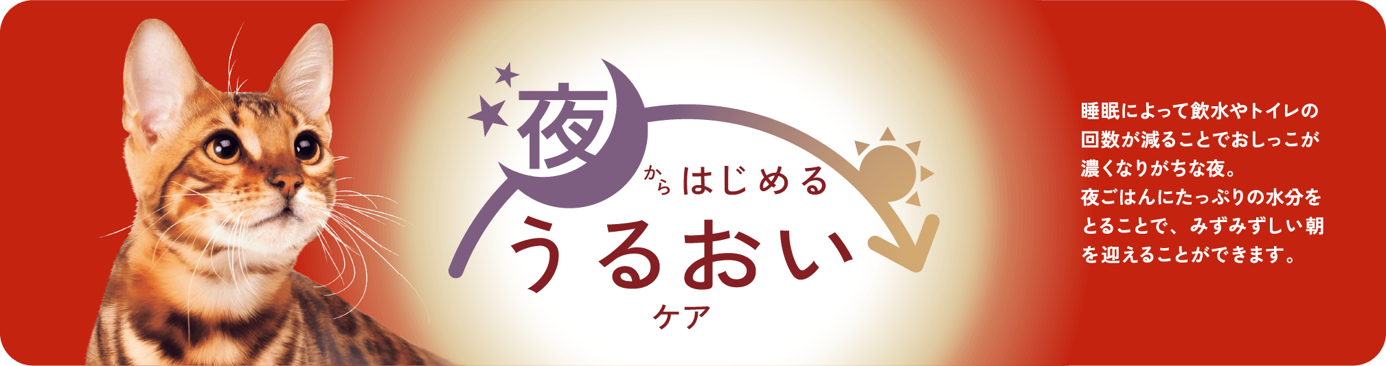 夜からはじめるうるおいケア