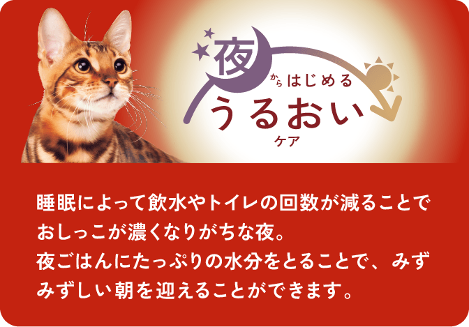 夜からはじめるうるおいケア