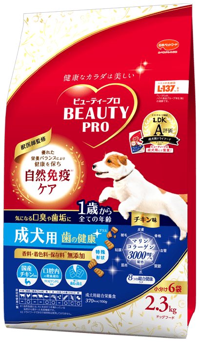 歯の健康 1歳から