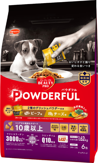 成犬用