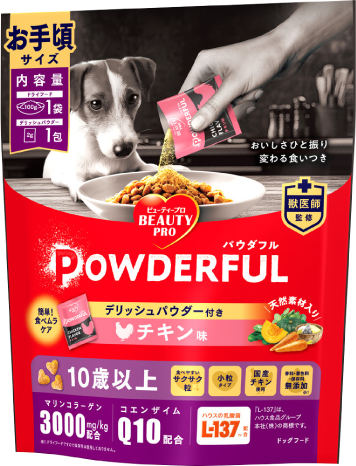 成犬用 1歳から