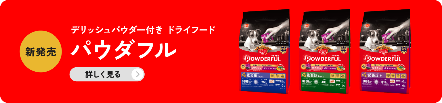 パウダフル
