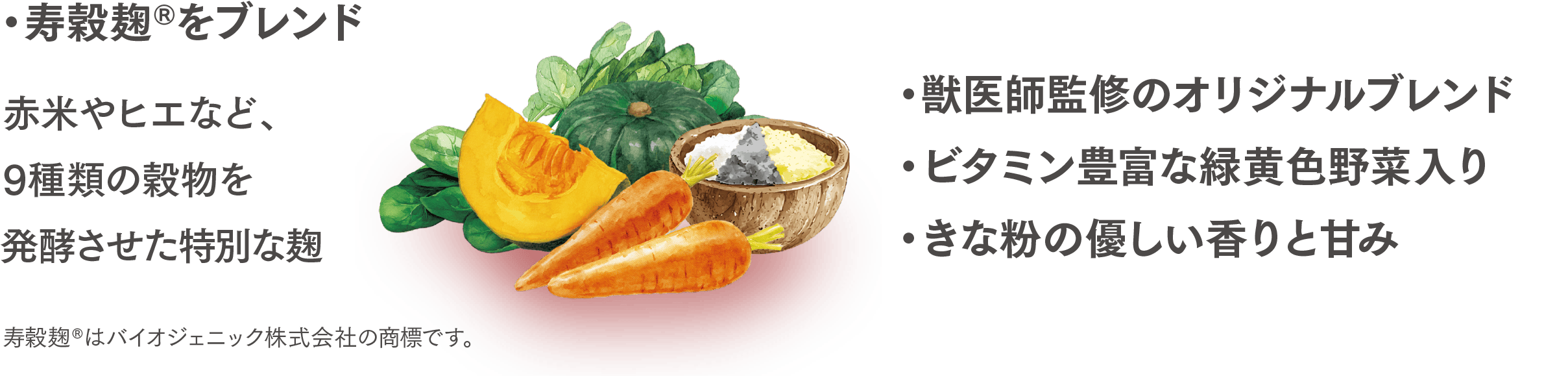 おいしい理由 デリッシュパウダー