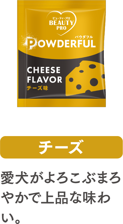 チーズ味パウダー