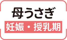 母うさぎ 妊娠・授乳期