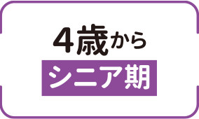4歳から シニア期