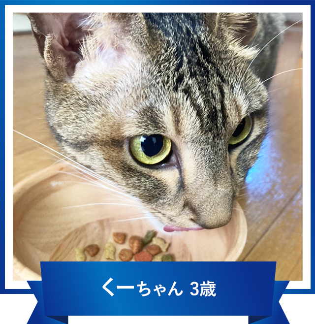 くーちゃん 3歳