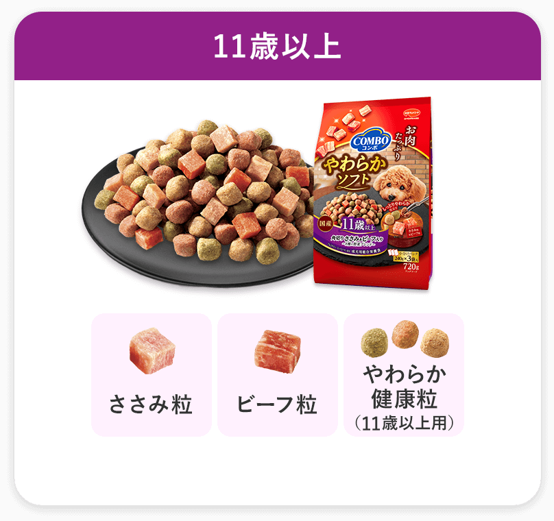11歳以上