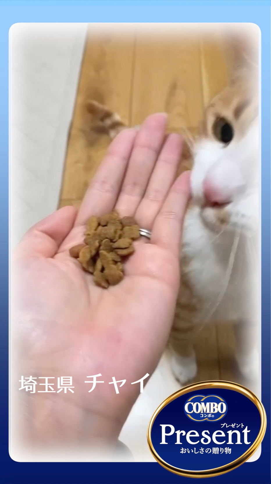 コンボ プレゼント キャット おやつ｜猫用国産おやつ