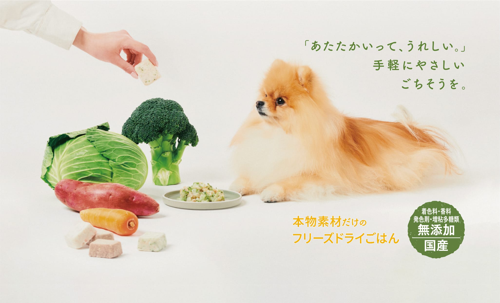  CANIN 11+選択・主食 2kg×2袋 ピュアキューブ｜国産フリーズドライ｜愛犬用手作り風ごはん