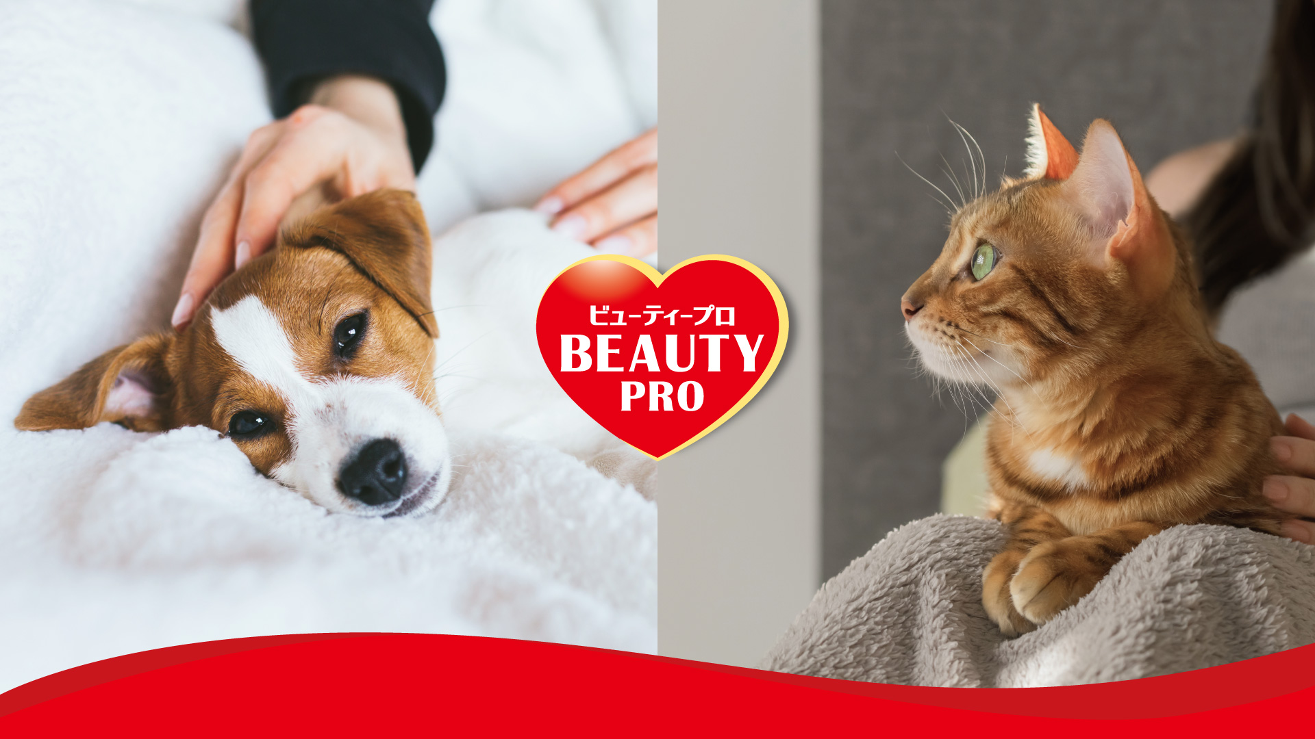 BEAUTY pro