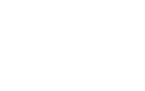 lacine日本猫