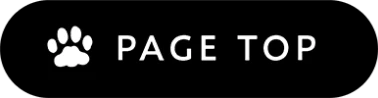 PAGE TOP