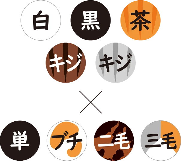 種類豊富な色柄 白 黒 茶 キジトラ サバトラ ブチ 二毛 三毛