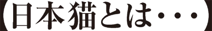 日本猫とは