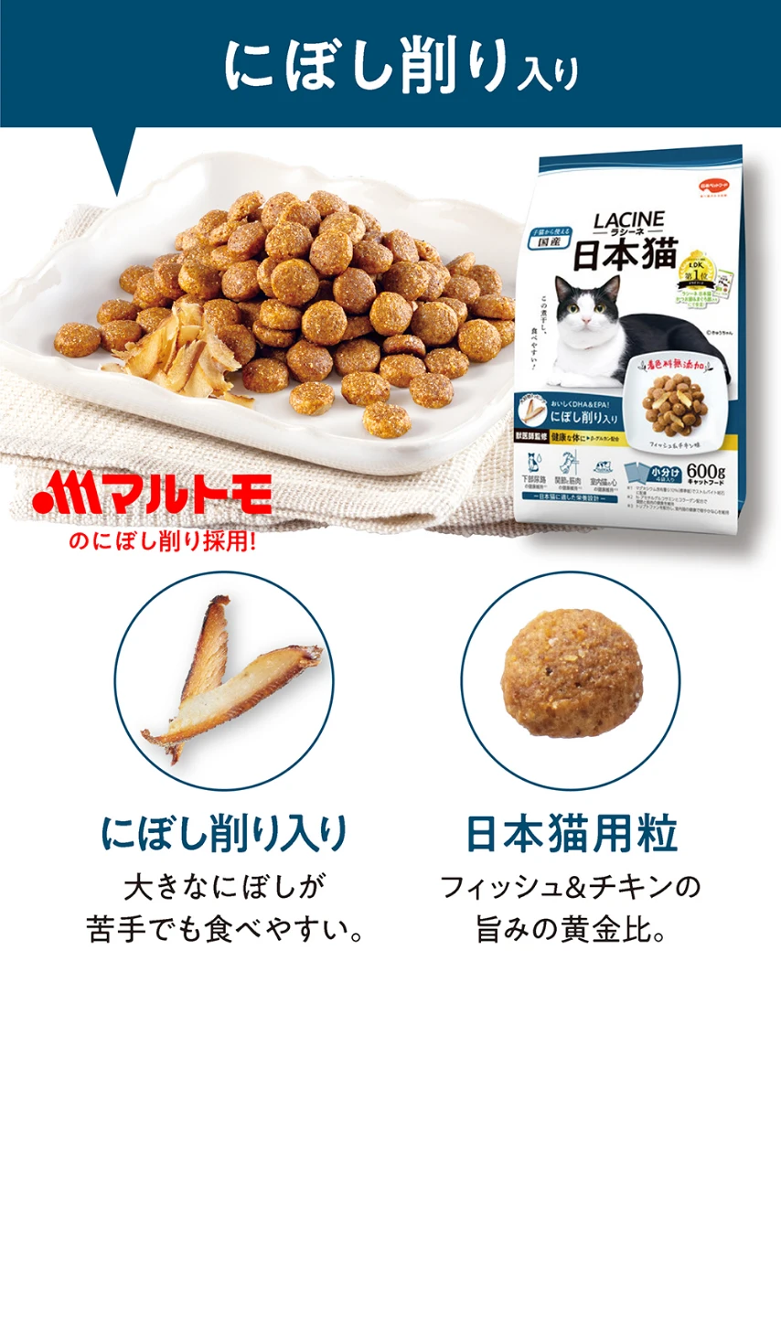 にぼし削り入り