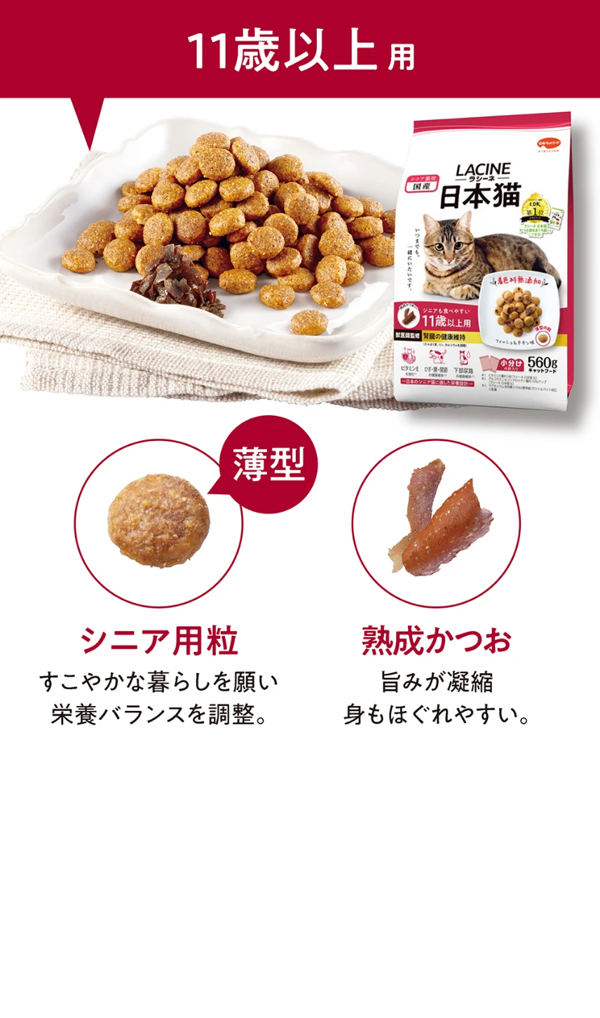 11歳以上用