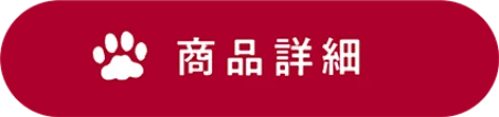 商品詳細