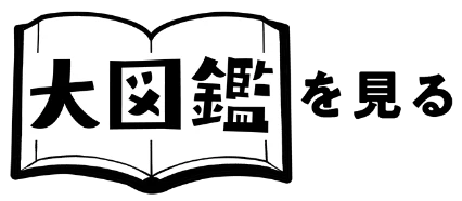 大図鑑を見る
