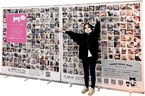 ねこにすとパネル写真