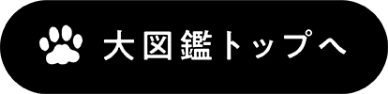 大図鑑トップへ