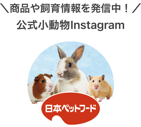 商品や飼育情報を発信中! 公式小動物Instagram