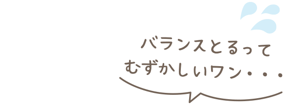 バランスとるってむずかしいワン・・・