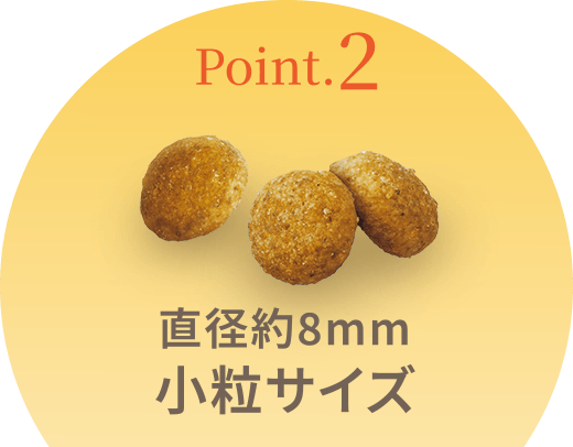 Point.2 直径約8mm 小粒サイズ
