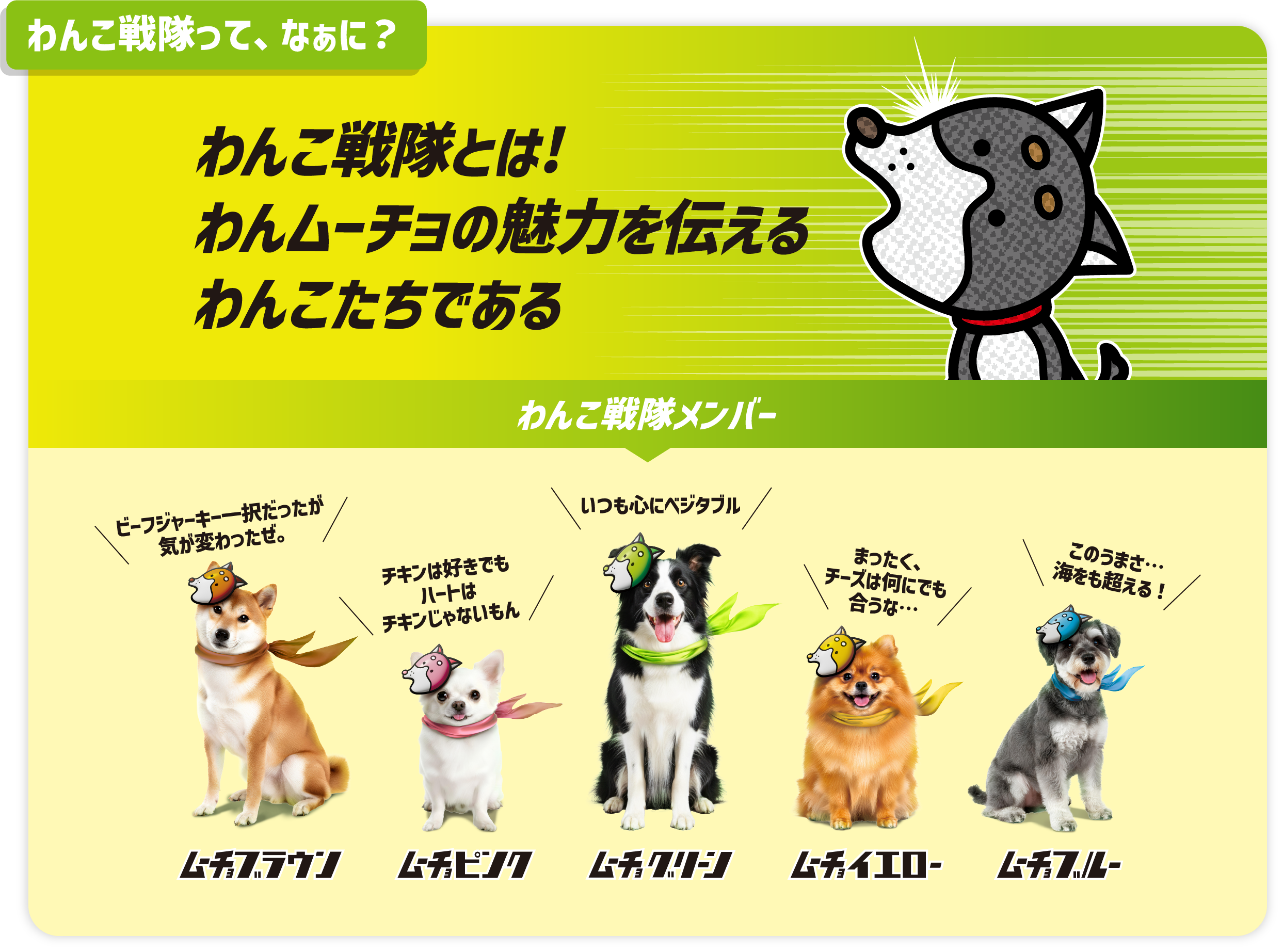 わんこ戦隊の紹介