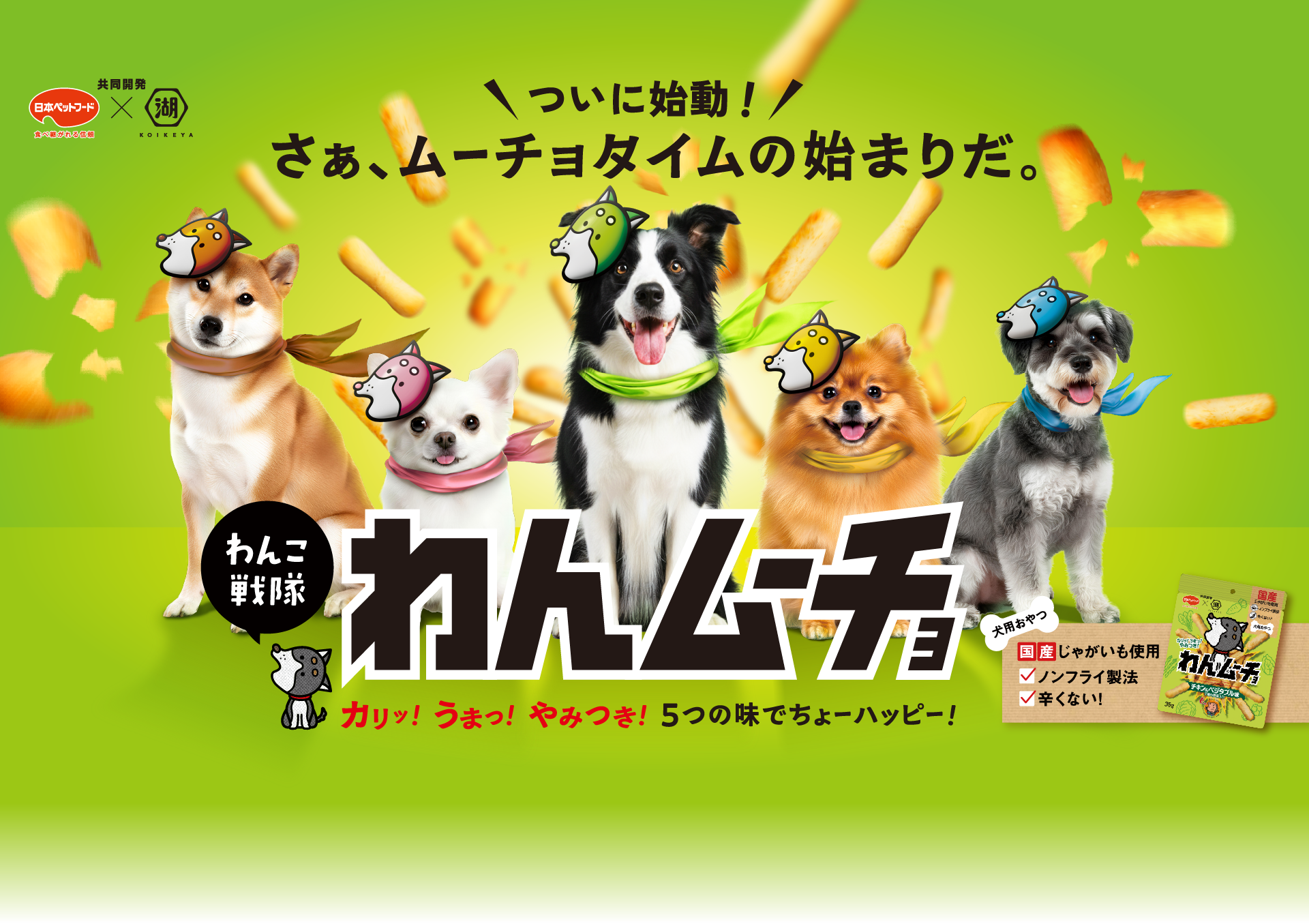 わんこ戦隊わんムーチョ