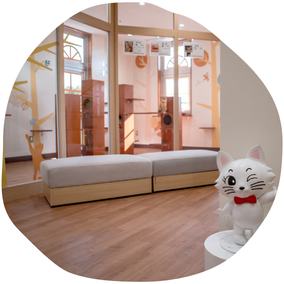 ひだまりにゃんテラス