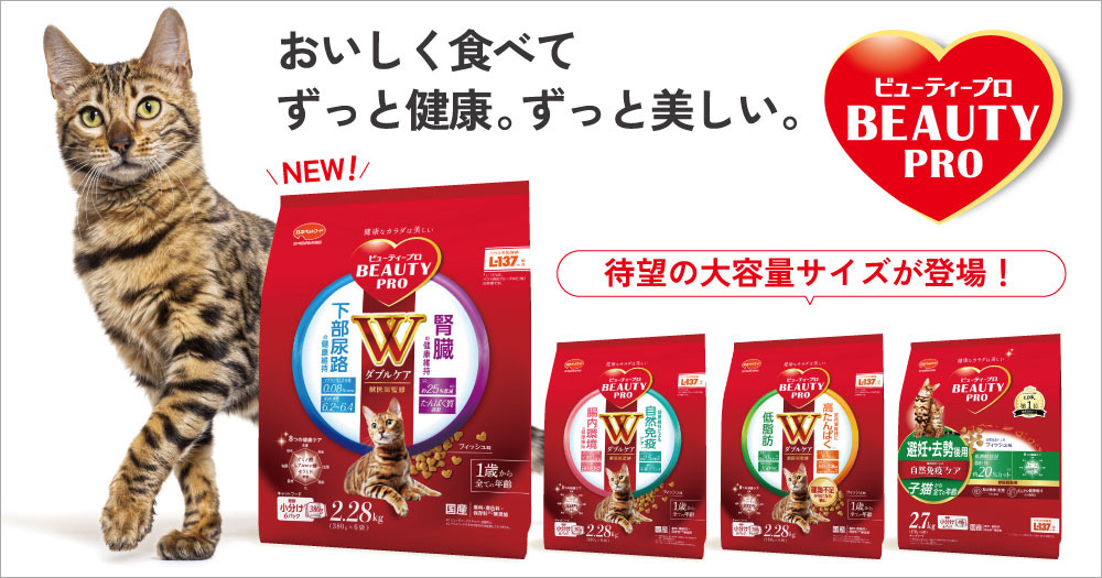 「ビューティープロ キャット」大容量サイズが登場！