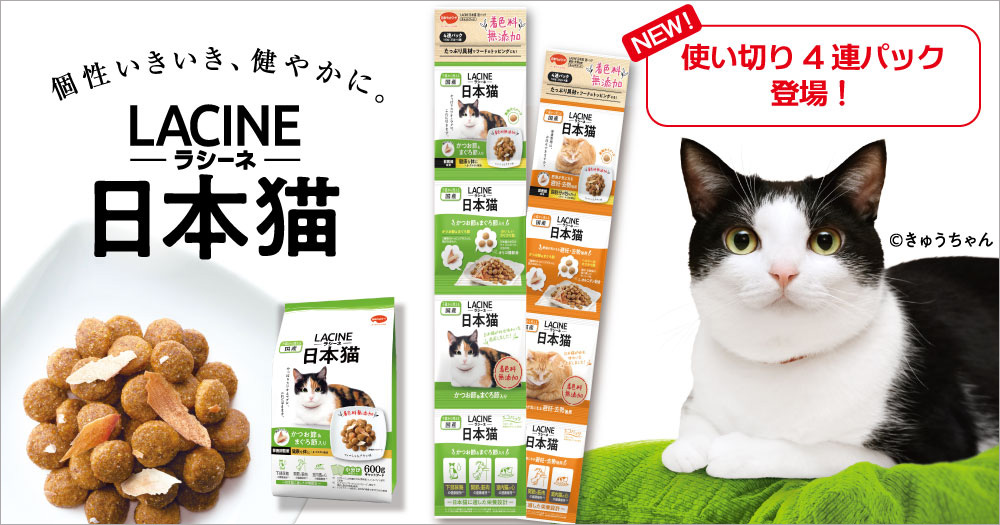 「ラシーネ日本猫」4連パックが登場！