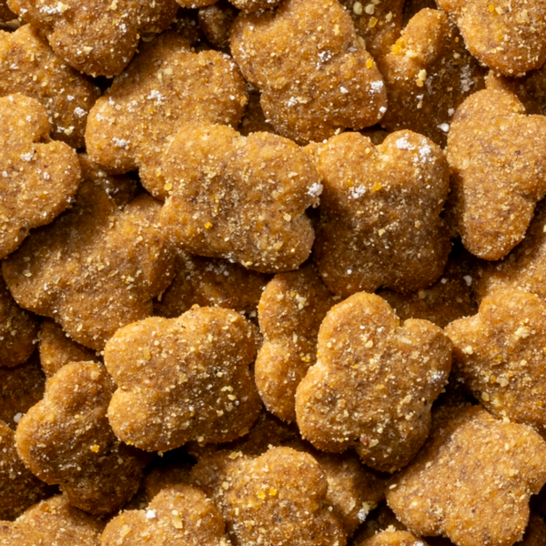 コンボ ピュア キャット チキン味・鶏パウダー仕立て | 日本 コンボ ピュア キャット チキン味・鶏パウダー仕立て | 日本