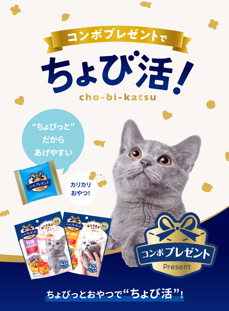 コンボ プレゼント キャット おやつ
