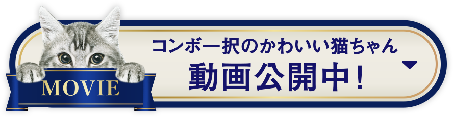 キャンペーン情報