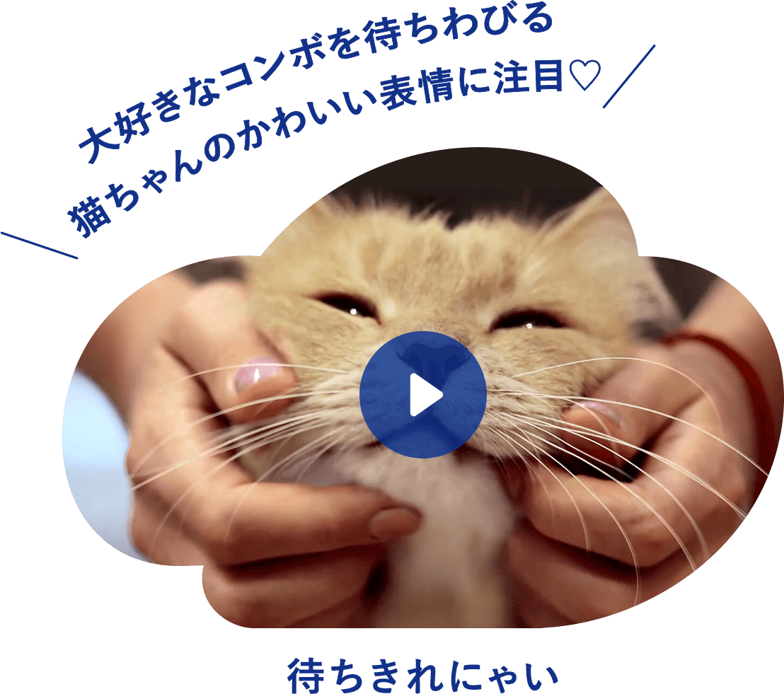 「待ちきれにゃい」大好きなコンボを待ちわびる猫ちゃんのかわいい表情に注目