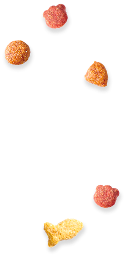 粒