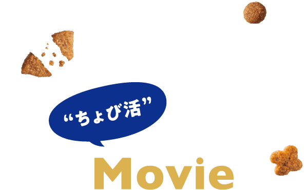 “ちょび活”Movie