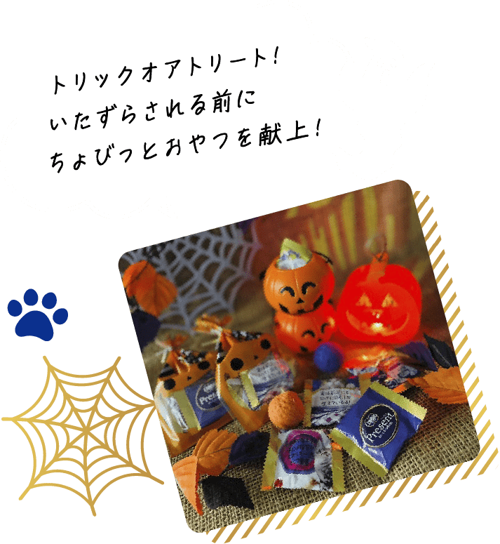 ハロウィンアレンジ