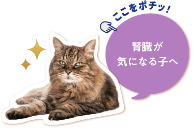 腎臓が気になる子へ
