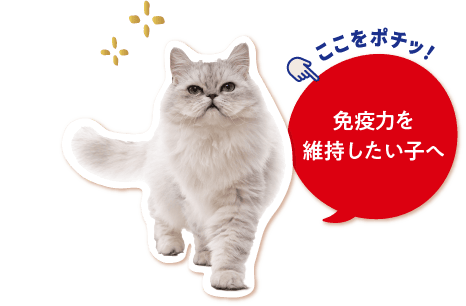 免疫力を維持したい子へ