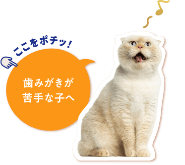 歯みがきが苦手な子へ