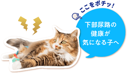 下部尿路の健康が気になる子へ