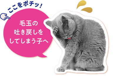 毛玉の吐き戻しをしてしまう子へ