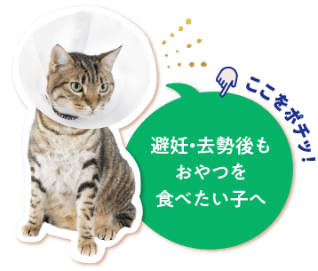 避妊・去勢後もおやつを食べたい子へ