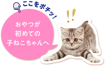 おやつが初めての子ねこちゃんへ