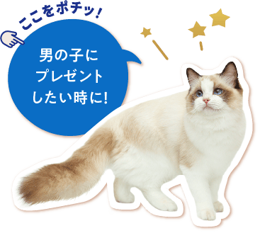 男の子にプレゼントしたい時に！
