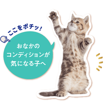 おなかのコンディションが気になる子へ